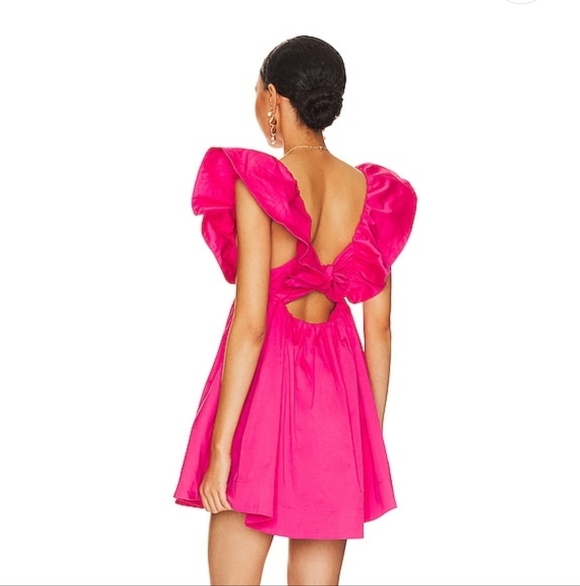 For Love & Lemons Clementine Mini Dress In Pink NWT - Picture 3 of 10